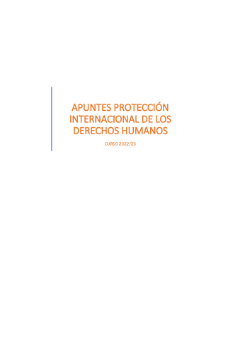 Apuntes-Proteccion-Internacional-de-los-Derechos-Humanos.pdf