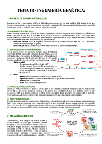 T18-Bio-2o.pdf