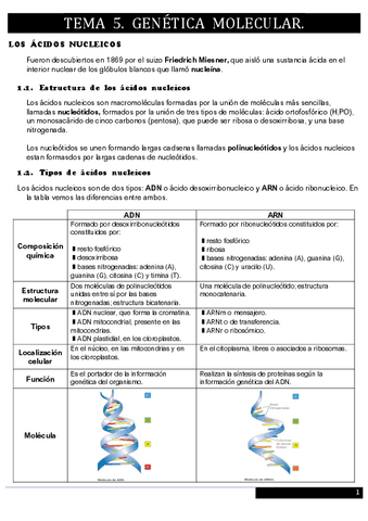 Tema 5. Genética molecular.pdf