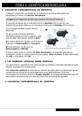 Tema 6. Genética mendeliana.pdf