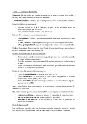 Tema-1-Microeconomia-.pdf