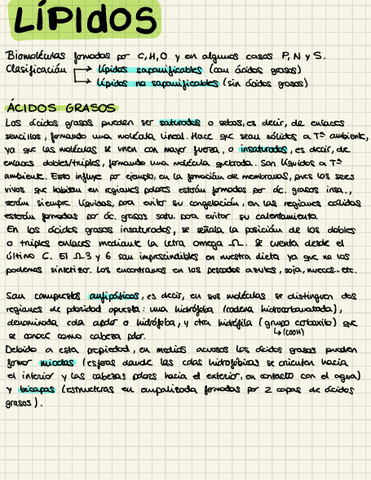 Lipidos.pdf