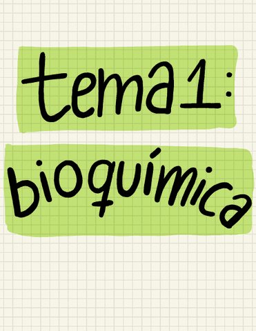 Ácidos nucleicos y vitaminas.pdf