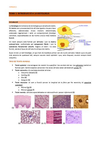 Histologia-1r-parcial.pdf