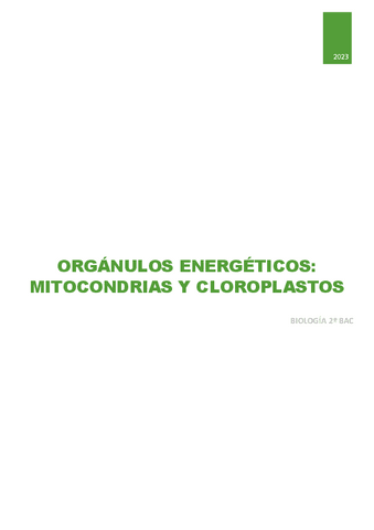 T.10organulos-energeticos.pdf