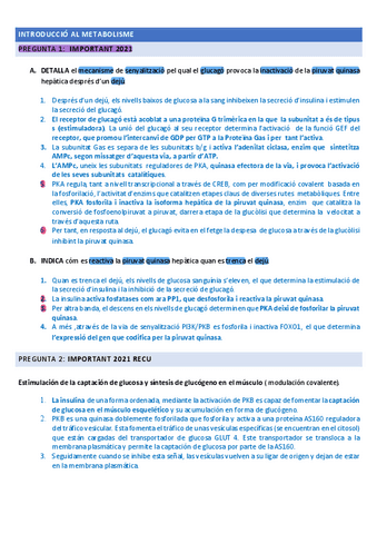 PREGUNTAS-BIOQUIMICA-PDF.pdf