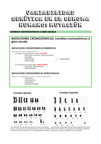 TEMA-7.pdf