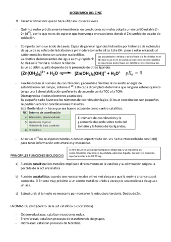 bioquimica del Zn - Wuolah.pdf
