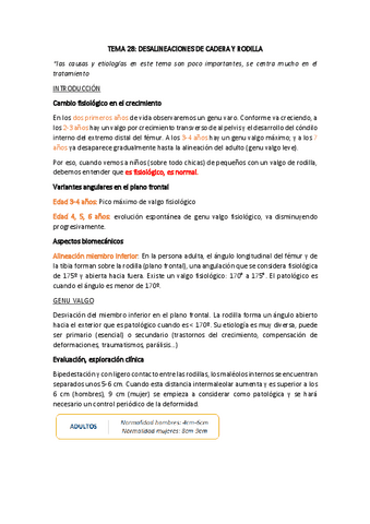 TEMA-28-DESAL-CADERA.pdf