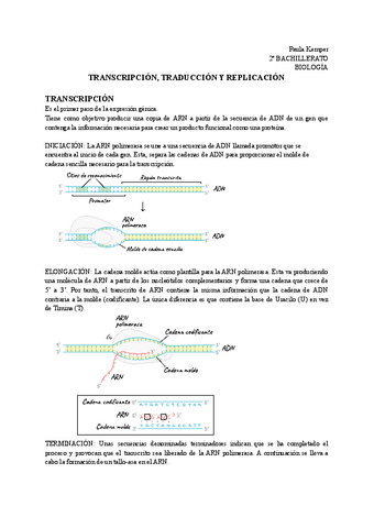 TRANSCRIPCION-TRADUCCION-Y-REPLICACION.pdf