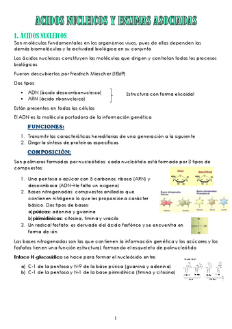 TEMA-2-Acidos-nucleicos.pdf