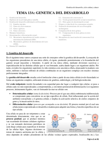genetica-leccion-13a.pdf
