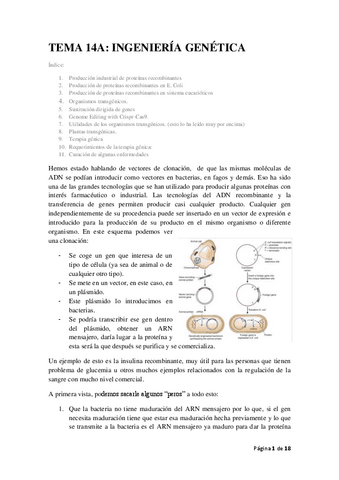 genetica-leccion-14a.pdf