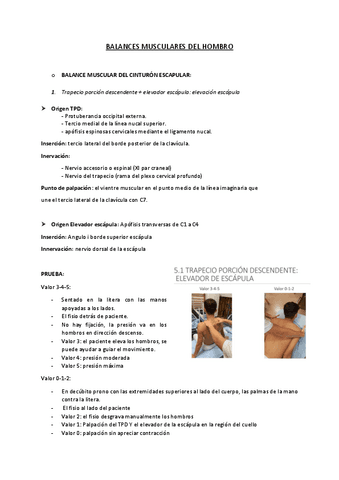 BALANCES-MUSCULARES-HOMBRO.pdf