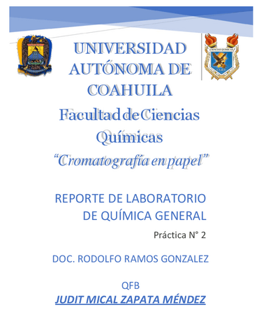 PRACTICA-2-CROMATOGRAFIA-EN-PAPELpdf.pdf