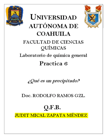 PRACTICA-6-Precipitacion.pdf