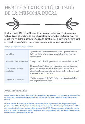 PRACTICA-EXTRACCIO-DE-LADN-DE-LA-MUSCOSA-BUCAL.pdf
