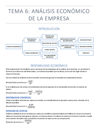 TEMA-6.pdf