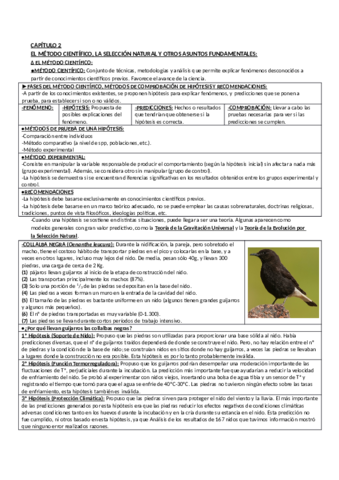 Apuntes Libro de Soler Capitulo 2.pdf