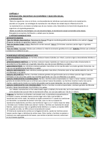 Apuntes Libro de Soler Capitulo 4.pdf