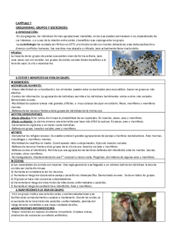 Apuntes Libro de Soler Capitulo 7.pdf