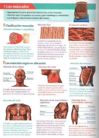 Sistemas-un-pequeno-repaso.pdf