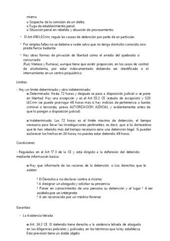 CONSTITUCIONAL-19.pdf