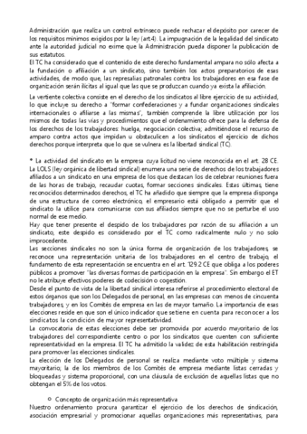CONSTITUCIONAL-26.pdf
