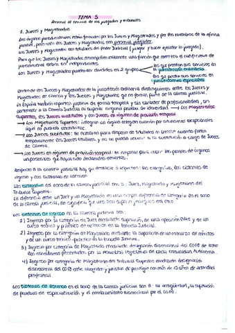 Tema-5-Manuscritos.pdf