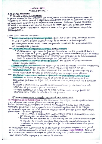Tema-28-Manuscritos.pdf