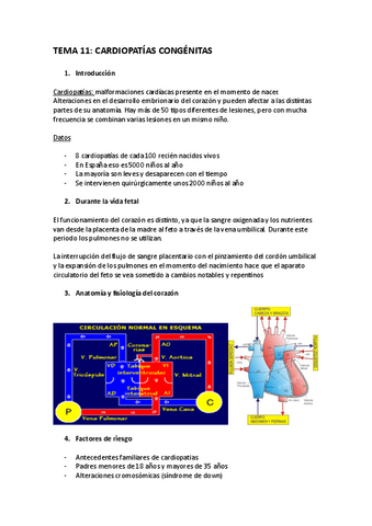 TEMA-11-IN.pdf