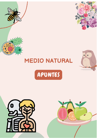 APUNTES-MEDIO-NATURAL.pdf