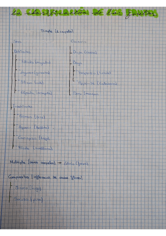 clasificacion-de-los-frutos.pdf