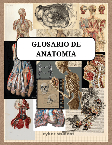 GLOSARIO-DE-ANATOMIA.pdf