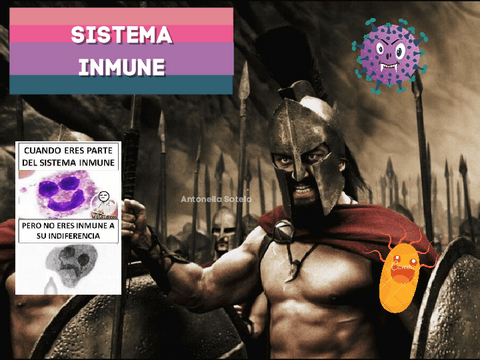 Inmunidad-Innata-Power.pdf