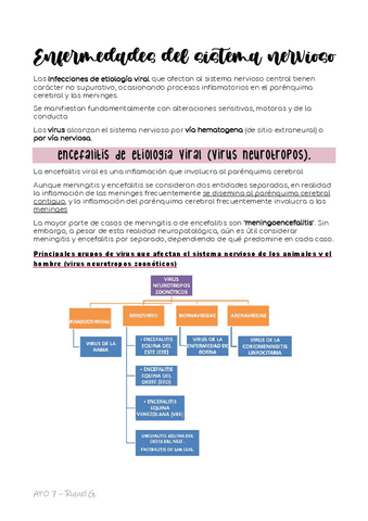 apo-7-Nervioso.pdf