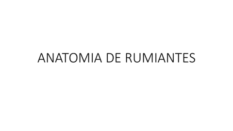ANATOMIA-DE-RUMIANTES.pdf