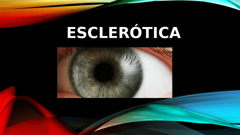 ANATOMIA-ESCLERA.pdf