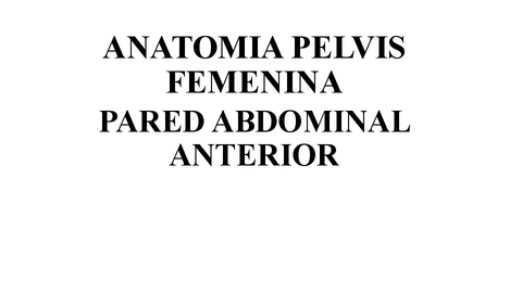 ANATOMIA-PELVISFEMENINAPARED-ABDOMINAL-ANTERIOR.pdf