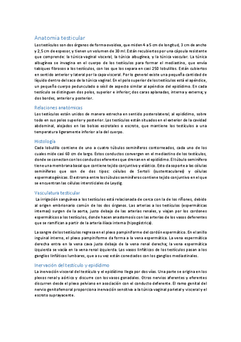 anatomia-testicular.pdf