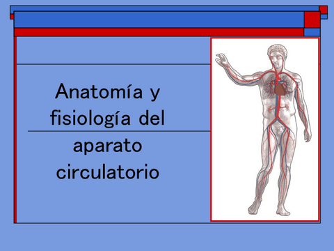 Anatomia-yfisiologia-del-aparato-circulatorio.pdf