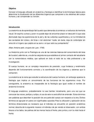 anatomia-reporte.pdf