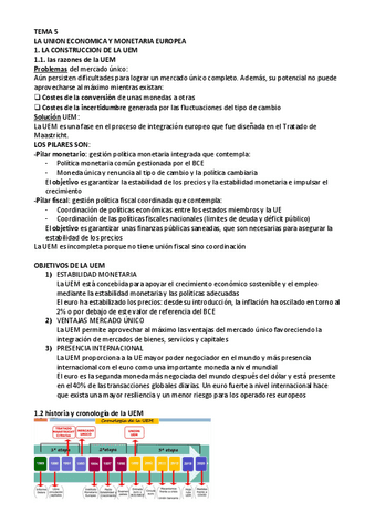 TEMA-5-UE.pdf