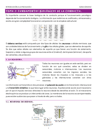 TEMA-2-PSICOLOGIA.pdf