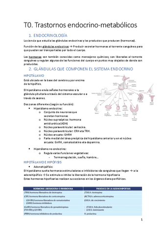 T0-T1-SISTEMA-ENDOCRINO.pdf