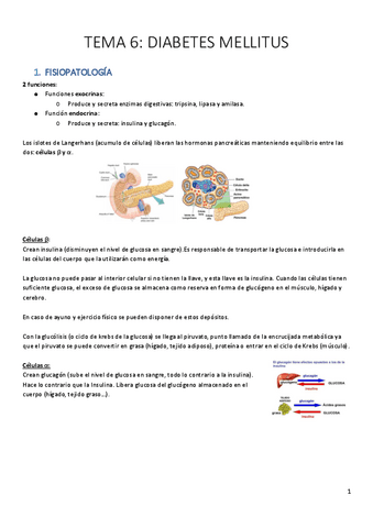 TEMA-6-DIABETES-MELLITUS.pdf