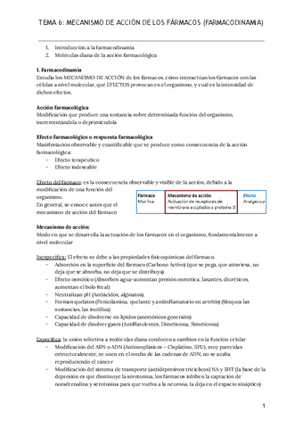 TEMA-6.pdf