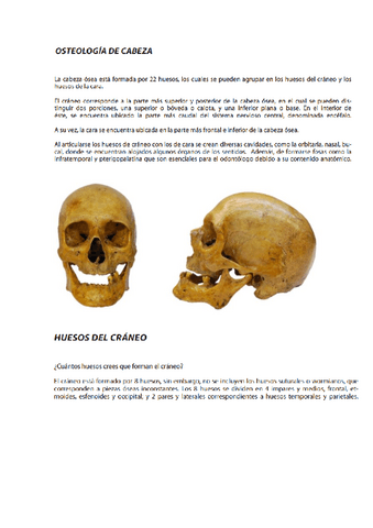 Anatomia-Aplicada-I.pdf