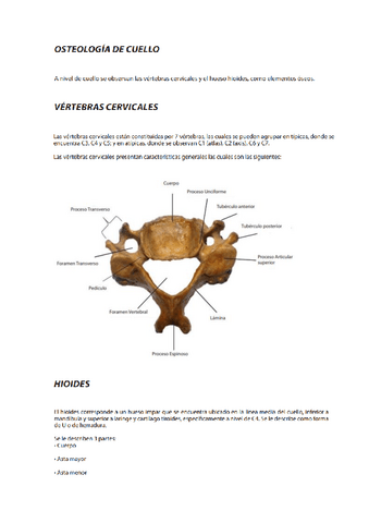 Anatomia-Aplicada-II.pdf