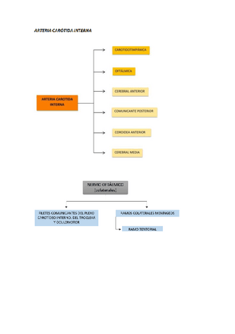 Anatomia-Aplicada-III.pdf